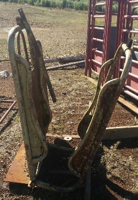 Calf Marking Cradle