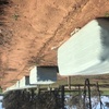 120 x 6x4x3 Canola Silage Bales