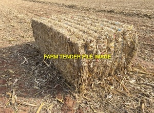 Expressions of interest on Mulched, Rakes and Baled Corn Stubble in 8x4x3's Available