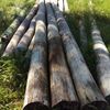 Second hand power poles