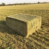 1st and 2nd cut Lucerne Hay for sale