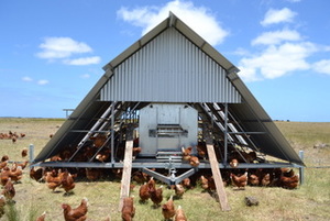 Chicken Caravan Trailer For Sale
