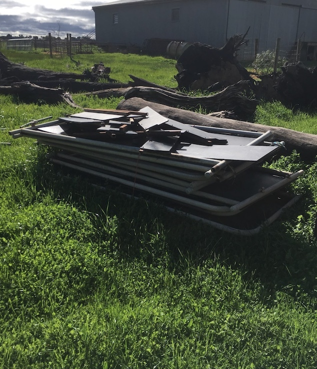 Cattle crush with Vet Door