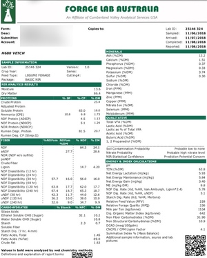 70mt Vetch Hay 700-750kg 8x4x3 Bales