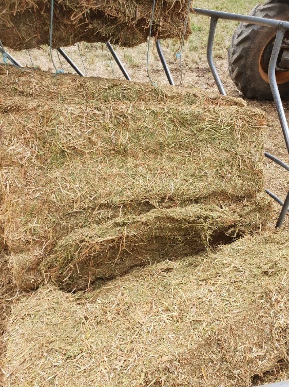 600 x Vetch Hay 8x4x3 Shedded