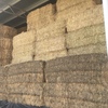 150mt Barley Hay 650-700kg 8x4x3 Bales