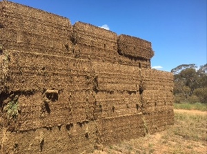 280mt Vetch Hay 650-700kg 8x4x3 Bales (New Season)