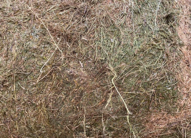Vetch Hay 5x4 Round Bales (New Season)