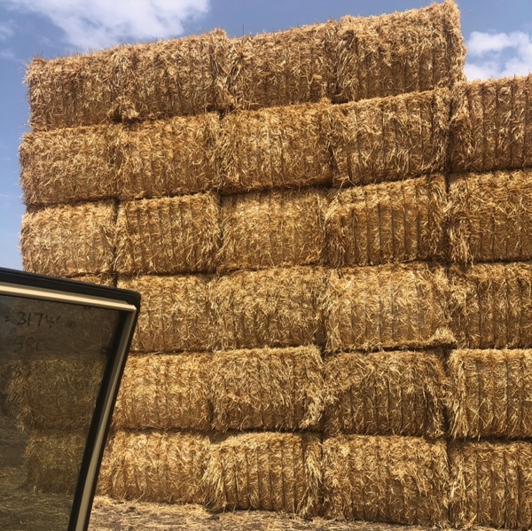 Barley Straw 550kg Bales