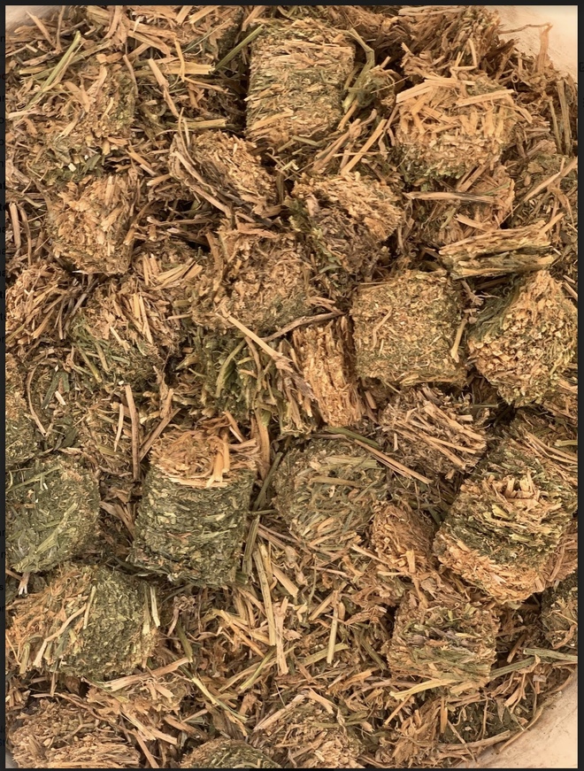Vetch Hay