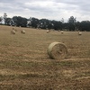 Oaten/Pasture Hay 5x4 Round Bales