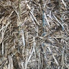 80mt Canola Hay 680kg 8x4x3 Bales + Freight