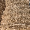 600tonne Quality Wheaten Straw