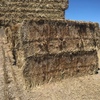 1500 Wheaten Hay 8x4x3 Bales (Weather Damaged)