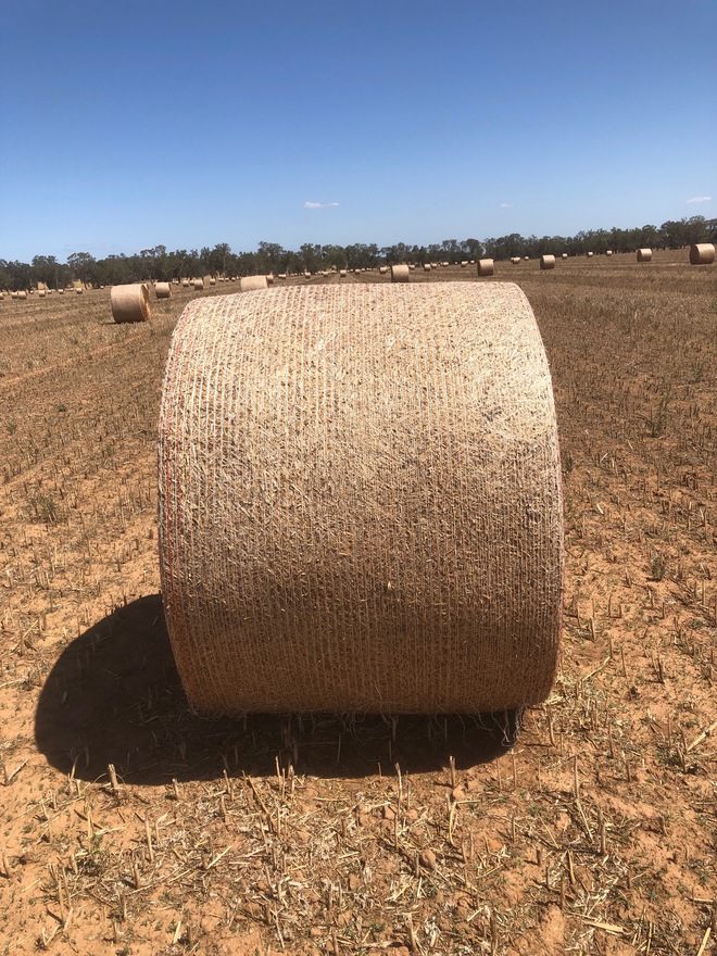 200 x Canola Hay 5x4 Rolls