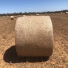 200 x Canola Hay 5x4 Rolls