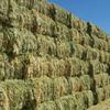 New Season Wheaten Hay For Sale 
