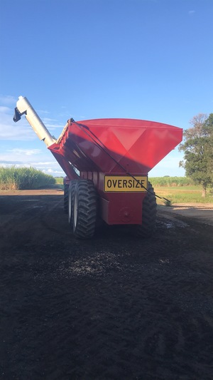 Bordignon Chaser Bin