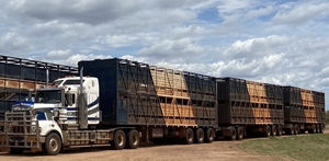 Truck Driver - MC licence