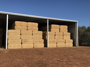 Barley Straw / Tailings