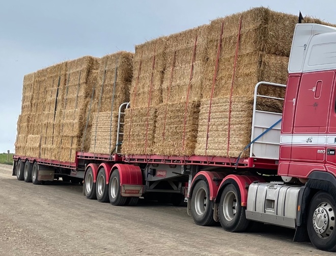 Barley straw header trail