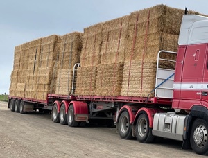 Barley straw header trail