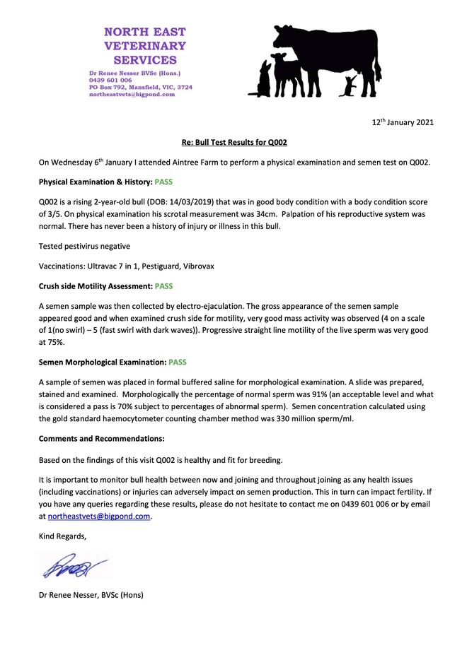 Aintree Farm Hereford 'Robin Hood' AFMQ002 Bull