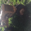 Under Auction - Allis Chalmer Tractor- 2% + GST Buyers Premium On All Lots 