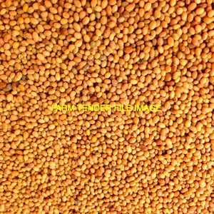 Clover Seed Shaftel Available 25kg Bags
