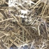 120 x Bales of Rye Grass Hay For Sale