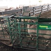 Ruddweigh Weigh Scales & Weigh Crate