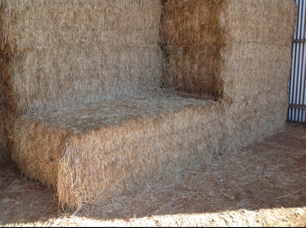 Barley & Vetch Hay