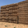 80mt Canola Hay/Straw 600kg approx. 8x4x3 Bales