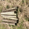 Under Auction - New Treated Pine Posts - 2% + GST Buyers Premium On All Lots 