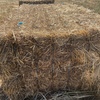 Sub & Rye Hay 8x4x3 Bales