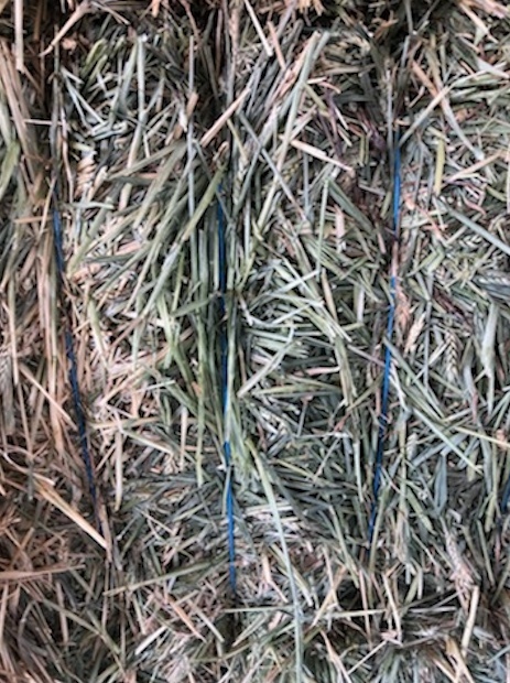 220mt Wheaten Hay 650-680kg 8x4x3 Bales (New Season)