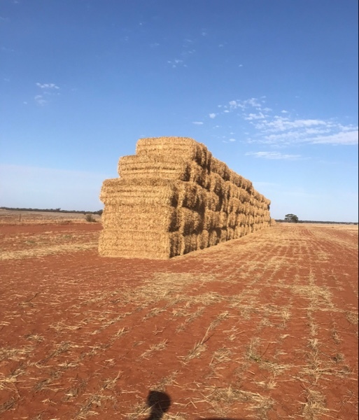 EOI 2019 cereal straw