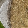PASTURE (Meadow) HAY - Rolls - Horse Hay