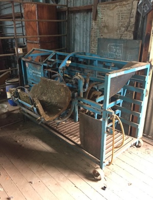 Peak Hill sheep handler