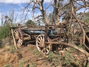 (A134) - Antique Horse Gig