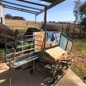 Henry Young Gun Crutcher