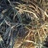 100mt Wheaten Hay 725kg approx. 8x4x3 Bales + Freight