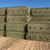 New Season Vetch Hay 8x4x3 Bales (3 - B Double Loads)