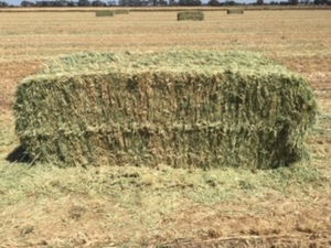 Quality Wheaten Hay 