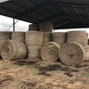 38 x Wheaten Hay 5x4 Rolls