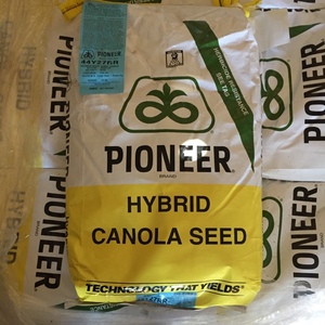 Round up ready canola seed