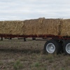 Sinch Square Bale Feeder 8 bale model