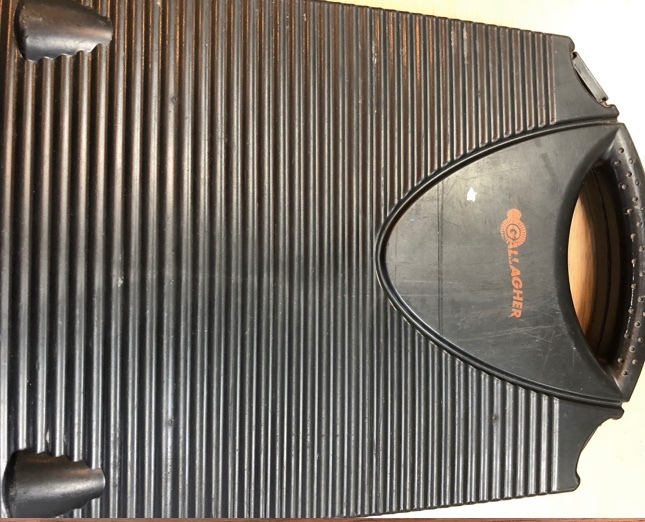 Gallagher TSi-2 Livestock Manager