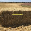 Wheaten Hay 8x4x3 Bales