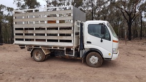 Hino 300  Truck And 2Deck Stockcrate